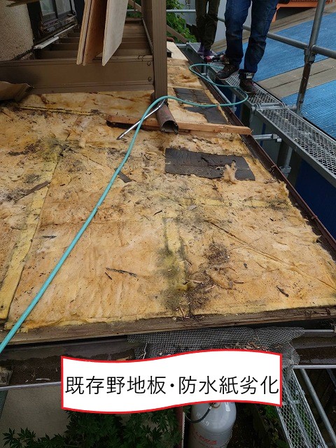 既存野地板・防水紙劣化